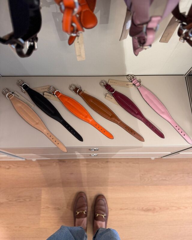 Auf den Hund gekommen 🐶