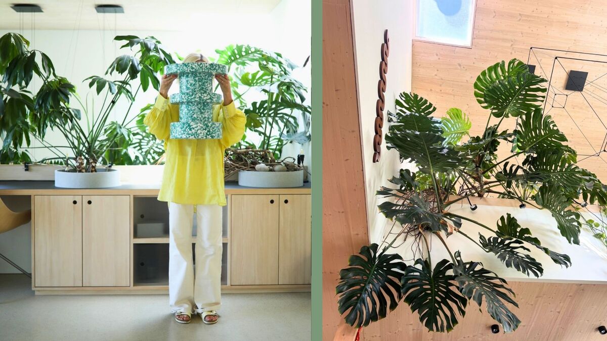 Mood Store Green Living Slow.Home Monstera Grün Nachhaltigkeit Sustainability