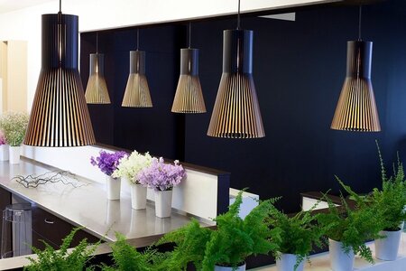 Secto Design Secto Small 4201 Pendant