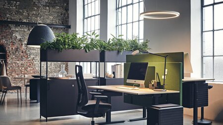 Artemide Nur 1618 Acoustic White Integralis Pendelleuchte