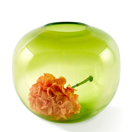 Pols Potten Kugelvase Poison Ball von Pols Potten Grün