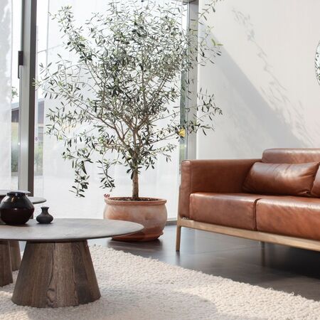Gazzda_Mushroom-coffeeTisch_80_Eiche_Smoked_163-2_Lifestyle