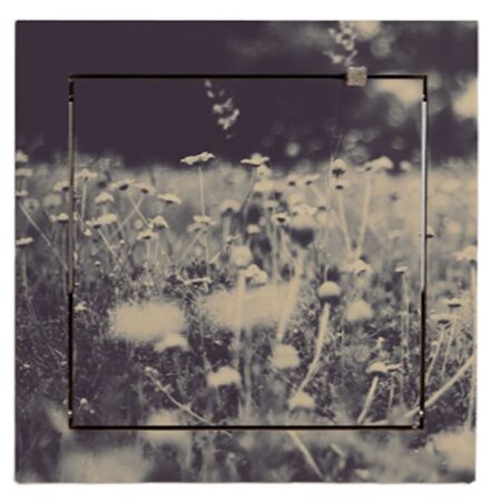 Ambivalenz 'Fläpps' 1-er Regal 40 x 40 cm - Wild and Free Wild and Free, B: 40 cm / H: 40 cm 