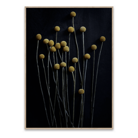 Print: 'Still Life' Blumen
