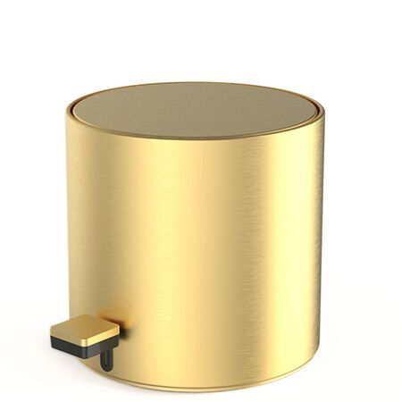 Decor Walther Pedaleimer TE 50 von Decor Walther Matt Gold PVD, 3.5 L