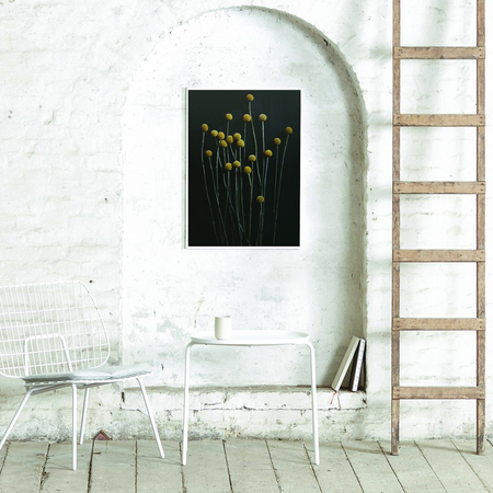 Print: 'Still Life' Blumen