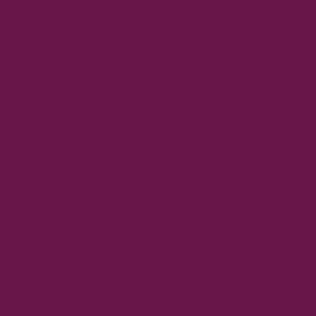  Bordeauxviolett-RAL-4004