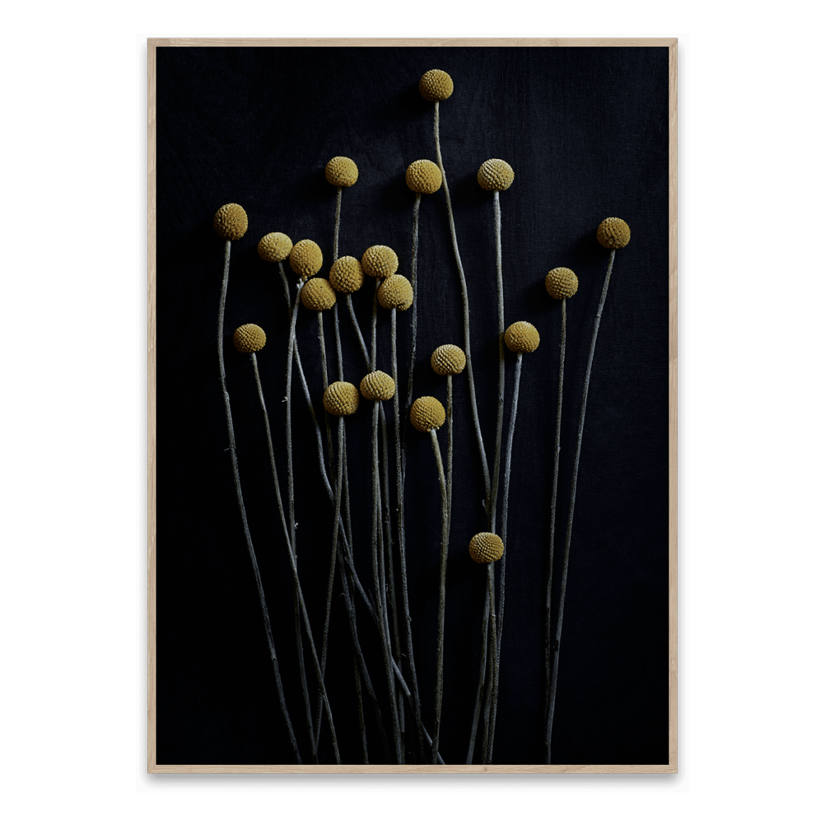 Print: 'Still Life' Blumen
