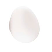 Applique / Plafonnier Gregg Outdoor - Parete - Soffitto de Foscarini