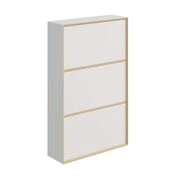 Vertiko Shoes shoe cabinet from Müller Small Living