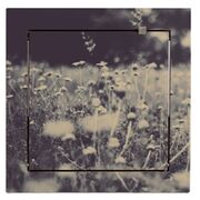 Fläpps Shelf 40x40-1 - Wild and Free