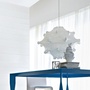 Flos, Flos Taraxacum S1