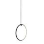 Flos Pendelleuchte Arrangements Round Large von Flos	 Mit 