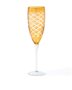 Pols Potten Cuttings Champagne Glasses 