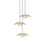 Umage Pendelleuchte Forget Me Not im Cluster 3 von Umage Ø: 19 cm / H: 4 cm, Eiche natur