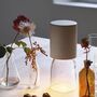 Luceplan Tischleuchte Nui Mini tragbare von Luceplan Sand-2