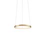 Santa & Cole Pendelleuchte Nimba 60 von Santa & Cole   Golden finish. Dimmable DALI