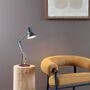 Anglepoise Schreibtischlampe Mini 75 von Anglepoise  Paul Smith Edition 4-1