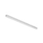 Artemide Deckenleuchte Calipso Linear System von Artemide Ohne, L: 58 cm 