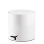 Decor Walther Pedaleimer TE 50 von Decor Walther Matt Weiss, 3.5 L